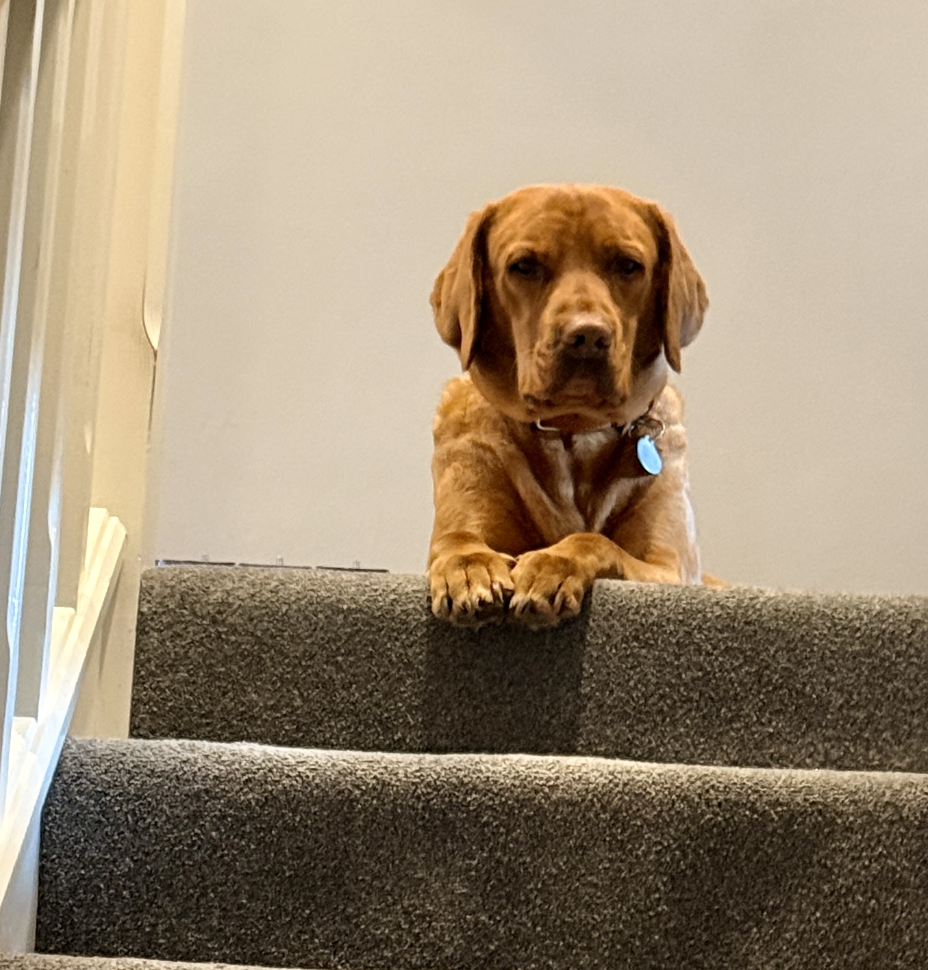 Enzo Security Department